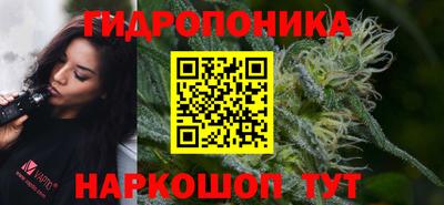 спиды Ливны