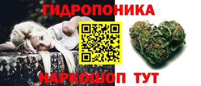 СК Лесосибирск