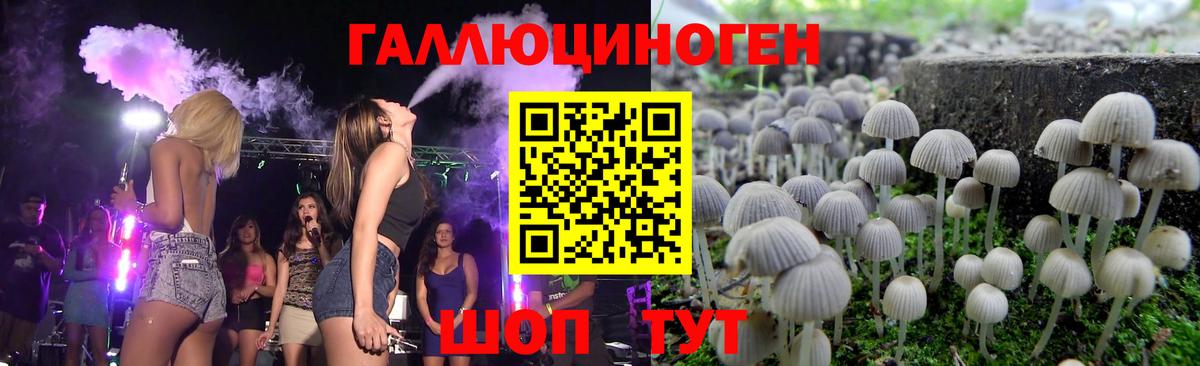 дарнет шоп  Галлюциногенные грибы Magic Shrooms  Тольятти  Вход с VPN  Галлюциногенные грибы прущие грибы 